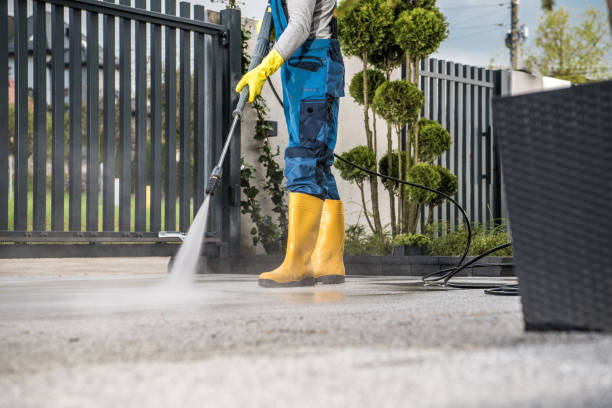 Best Dumpster Area Cleaning  in Pinch, WV